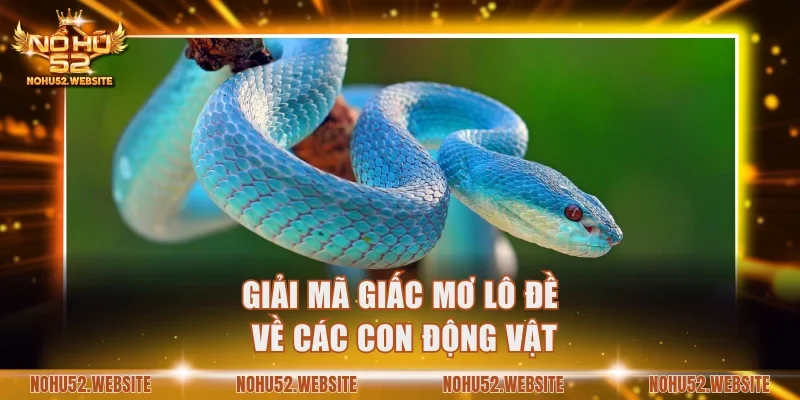 Giải mã giấc mơ lô đề về các con động vật