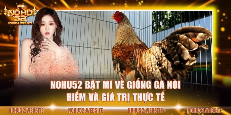 giống gà nòi hiếm