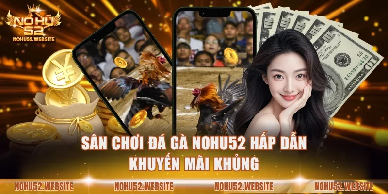 Sân chơi Đá gà NOHU52 hấp dẫn khuyến mãi khủng