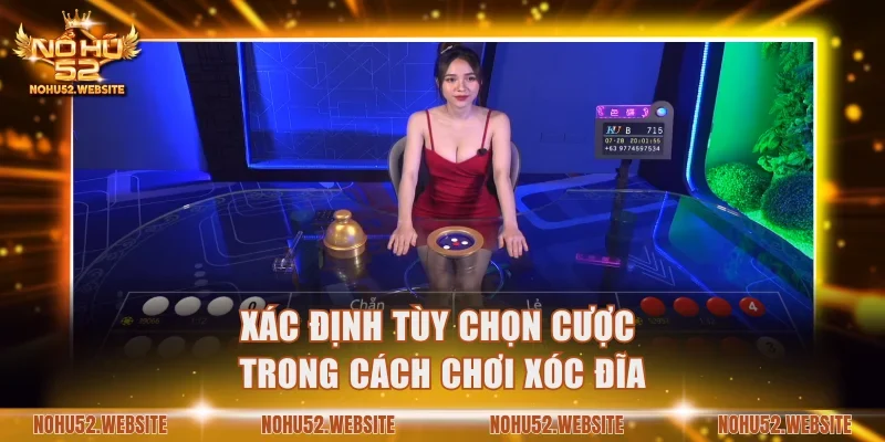 Xác định tùy chọn cược trong cách chơi xóc đĩa